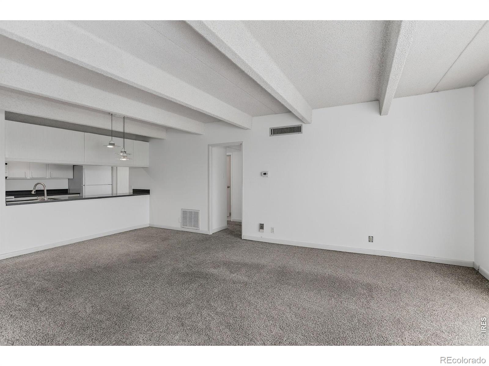 MLS Image #3 for 777 n washington street 1004,denver, Colorado