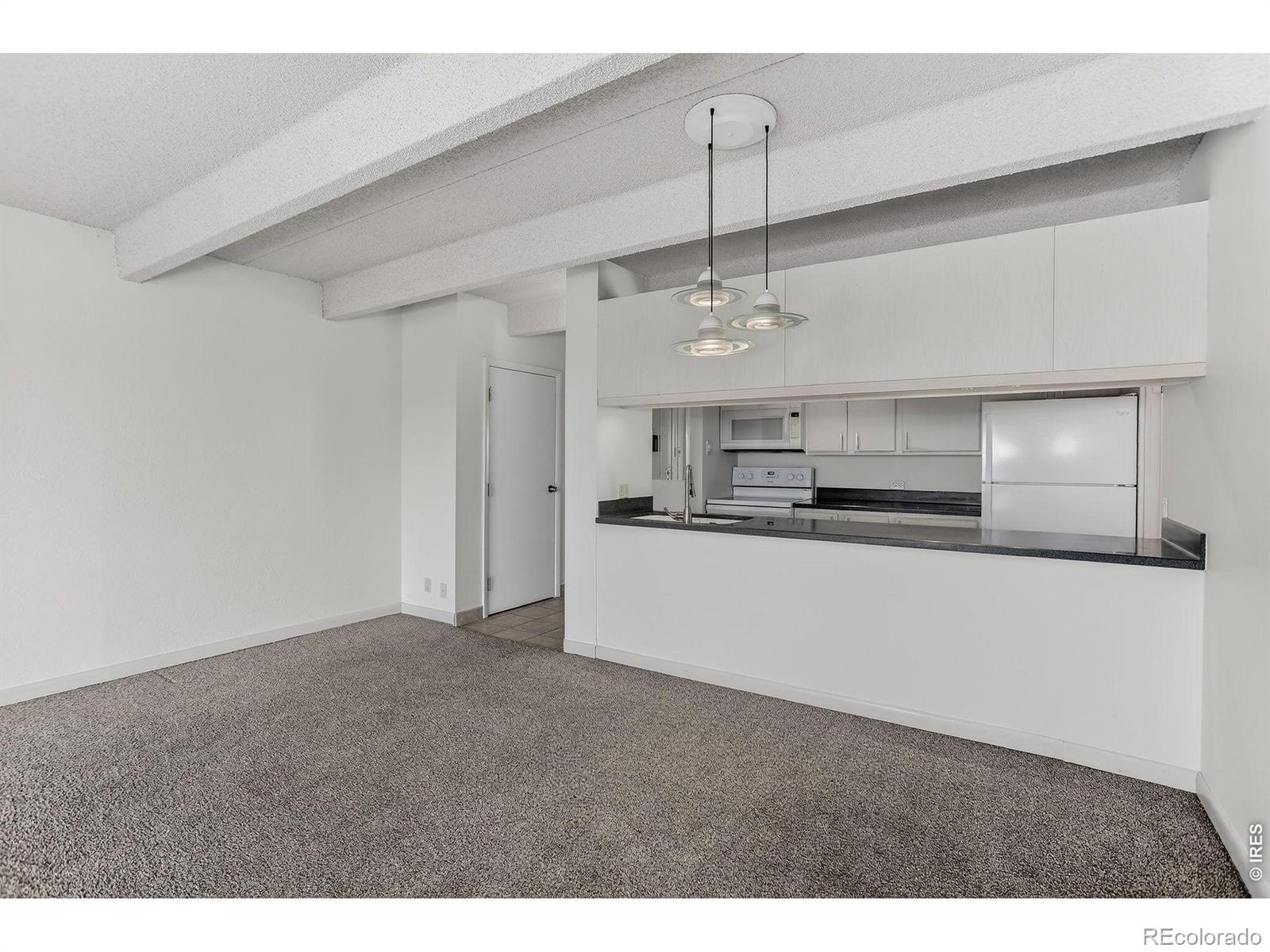 MLS Image #8 for 777 n washington street 1004,denver, Colorado