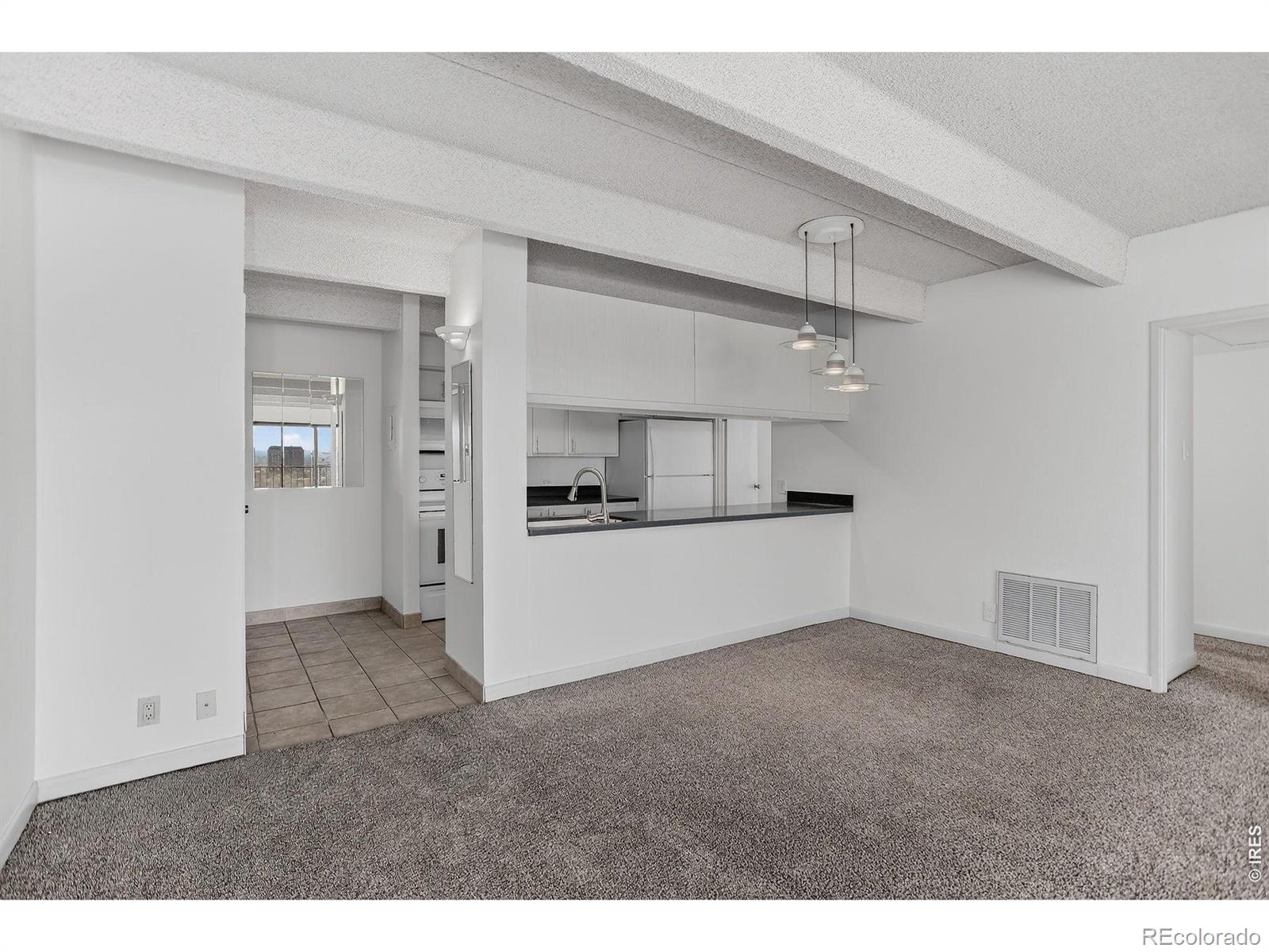 MLS Image #9 for 777 n washington street 1004,denver, Colorado