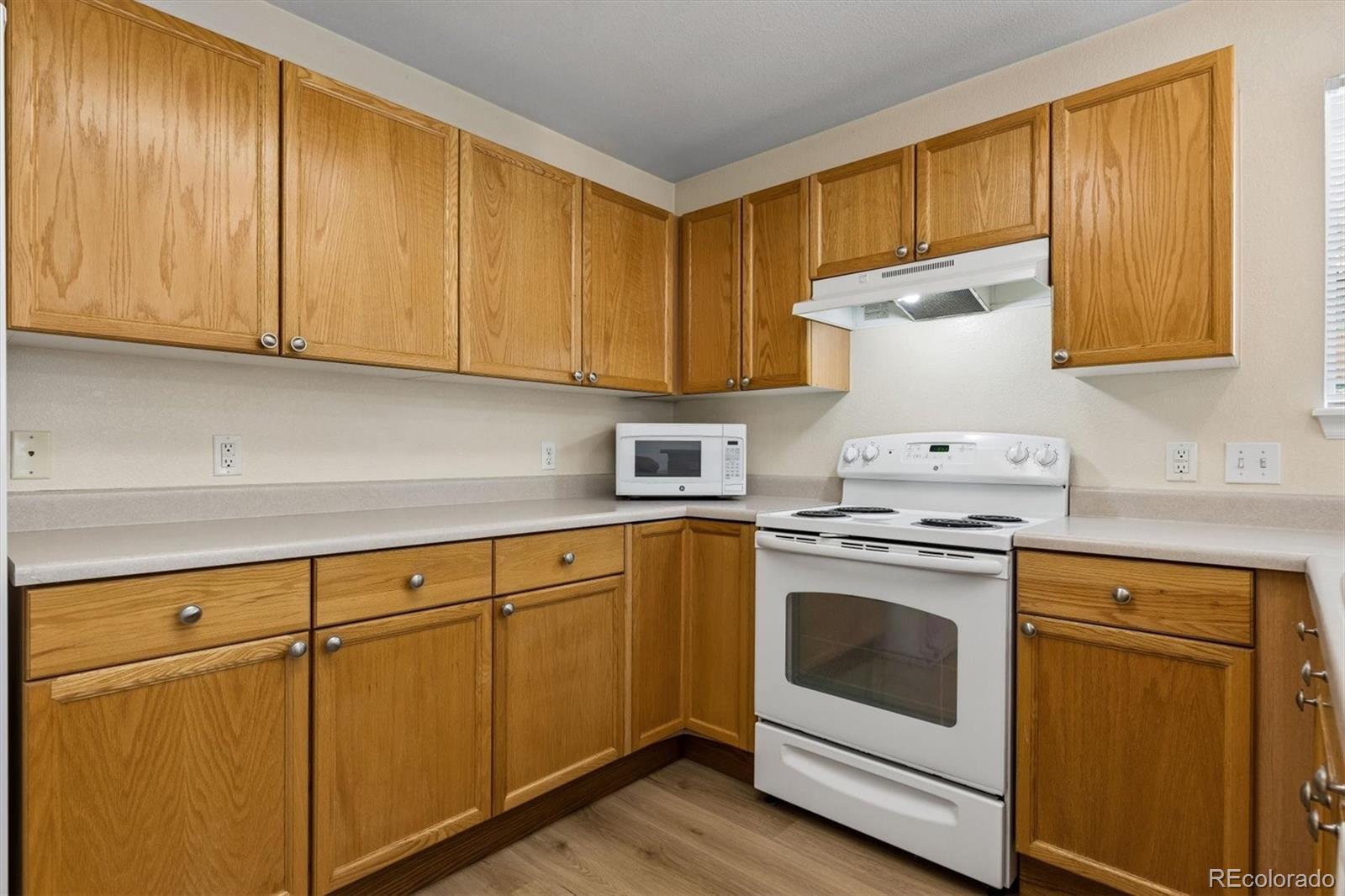 MLS Image #13 for 1528  ebony drive,castle rock, Colorado
