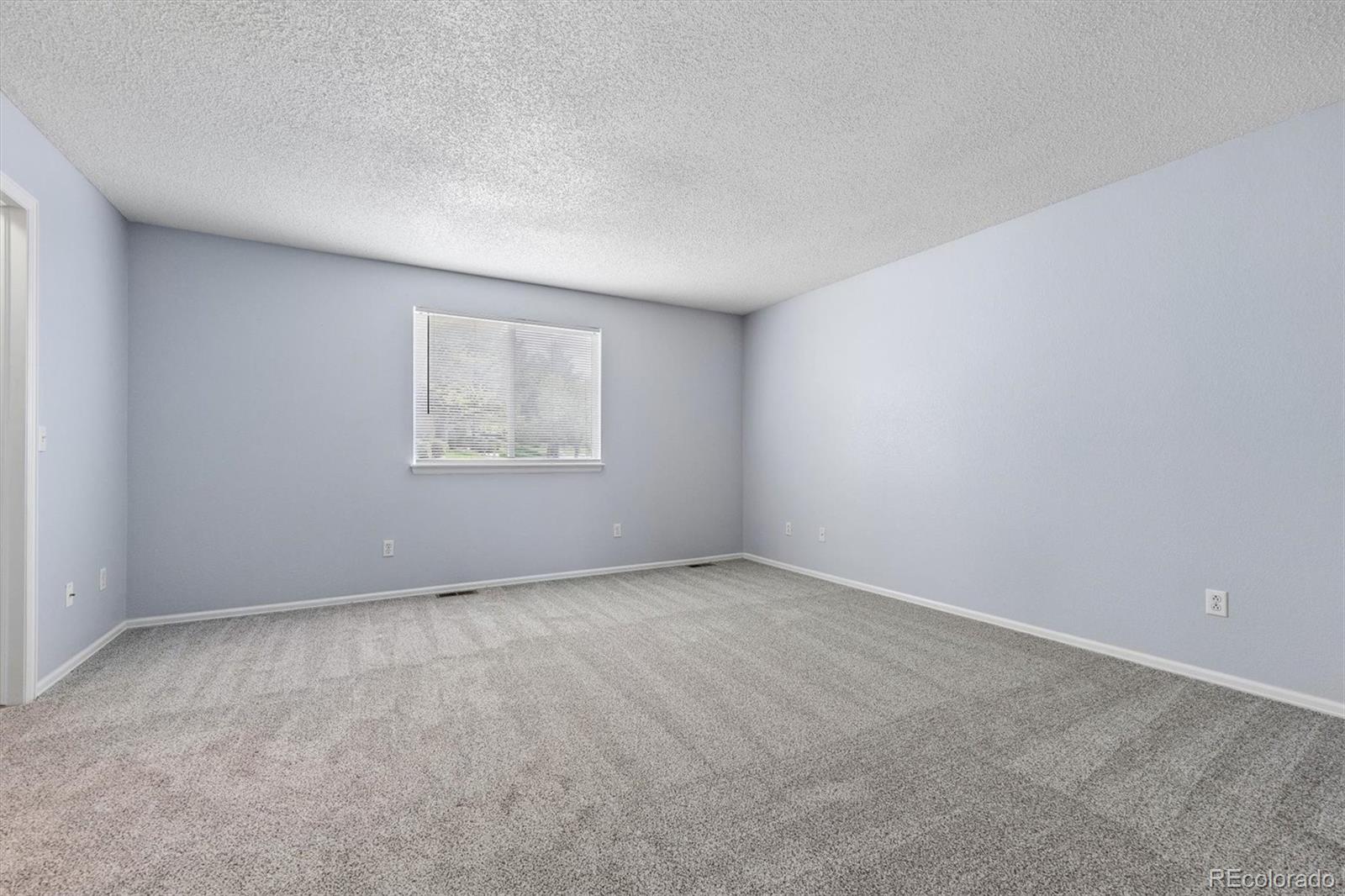 MLS Image #17 for 1528  ebony drive,castle rock, Colorado