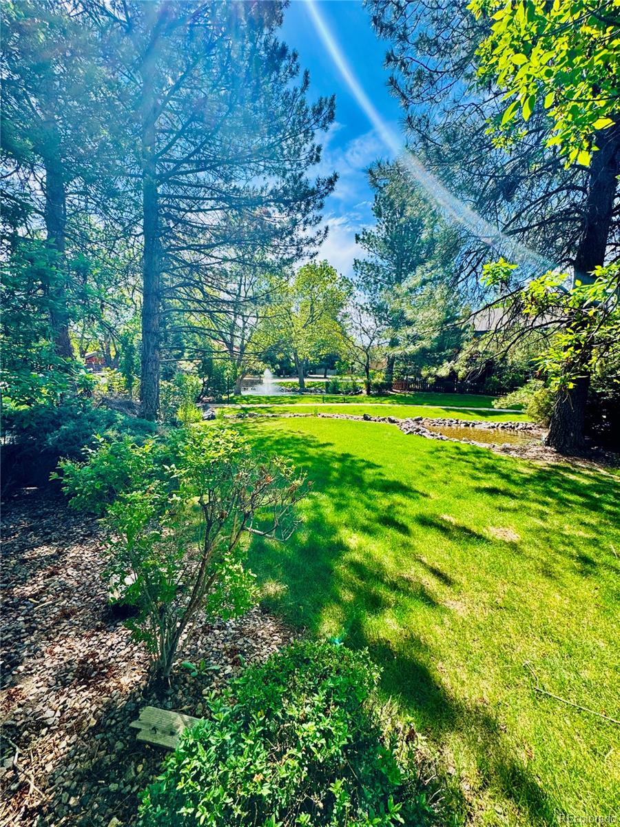 MLS Image #8 for 10140 w alamo place,littleton, Colorado