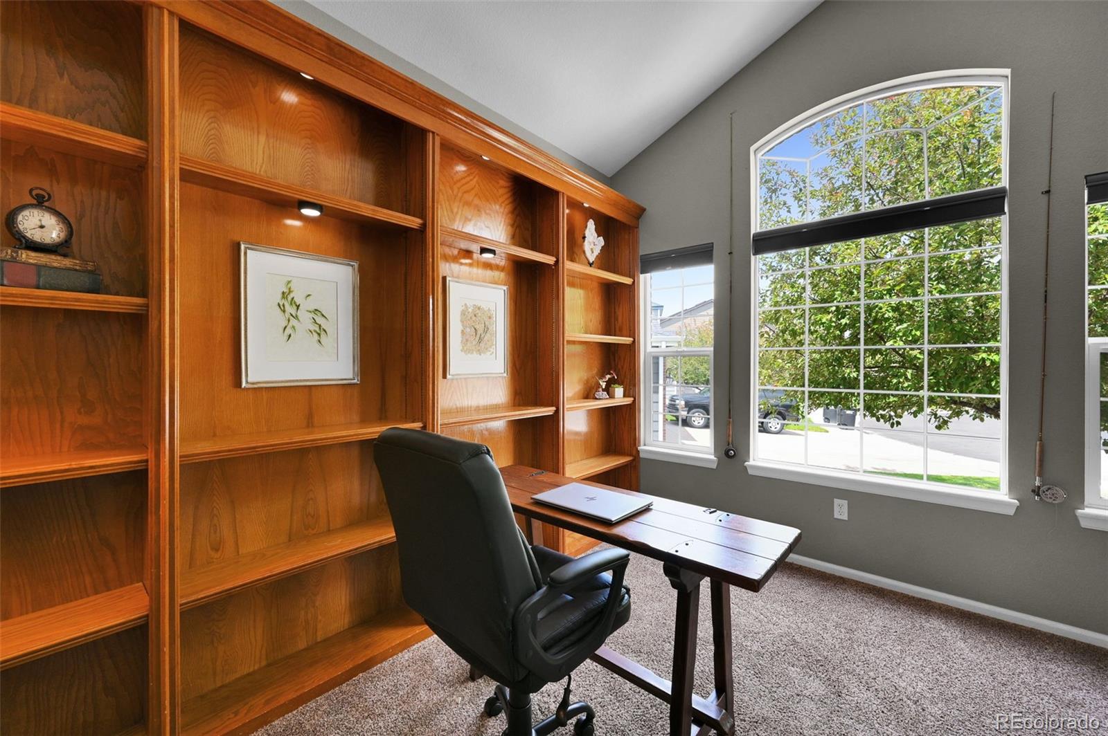 MLS Image #12 for 21354  white pine court,parker, Colorado