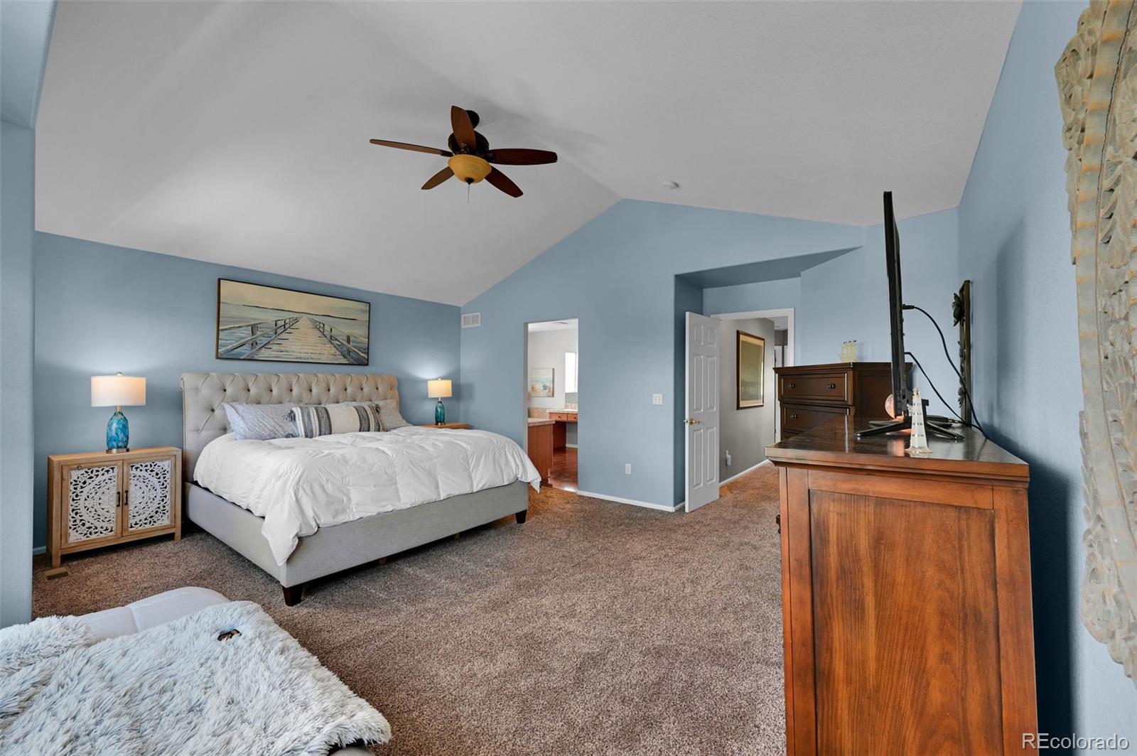 MLS Image #20 for 21354  white pine court,parker, Colorado