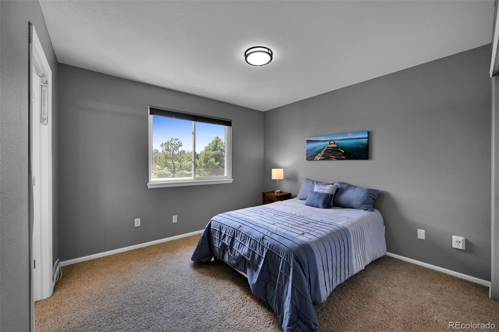 MLS Image #25 for 21354  white pine court,parker, Colorado