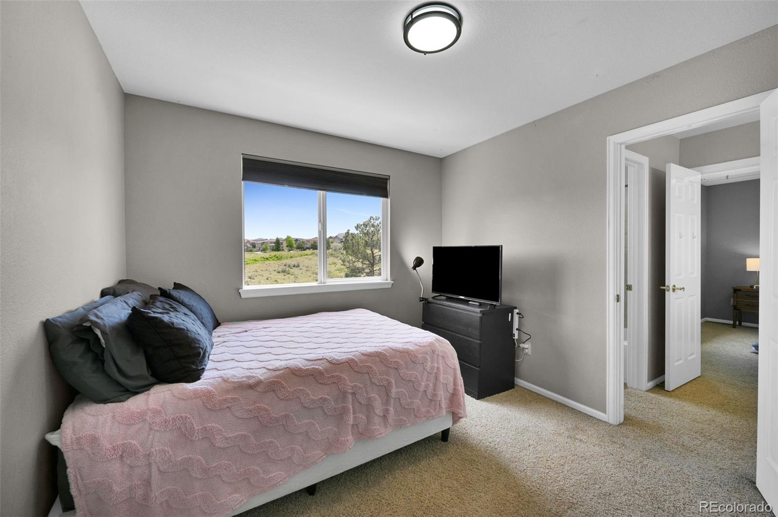 MLS Image #28 for 21354  white pine court,parker, Colorado