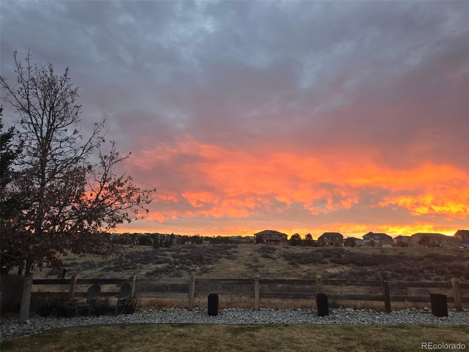 MLS Image #5 for 21354  white pine court,parker, Colorado