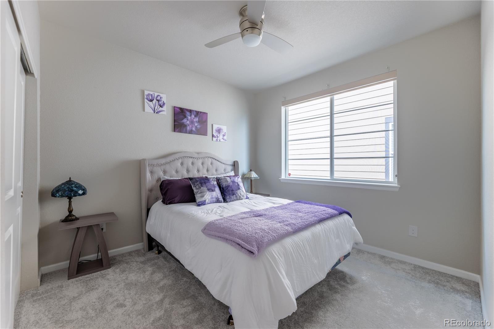MLS Image #15 for 3280  youngheart way,castle rock, Colorado