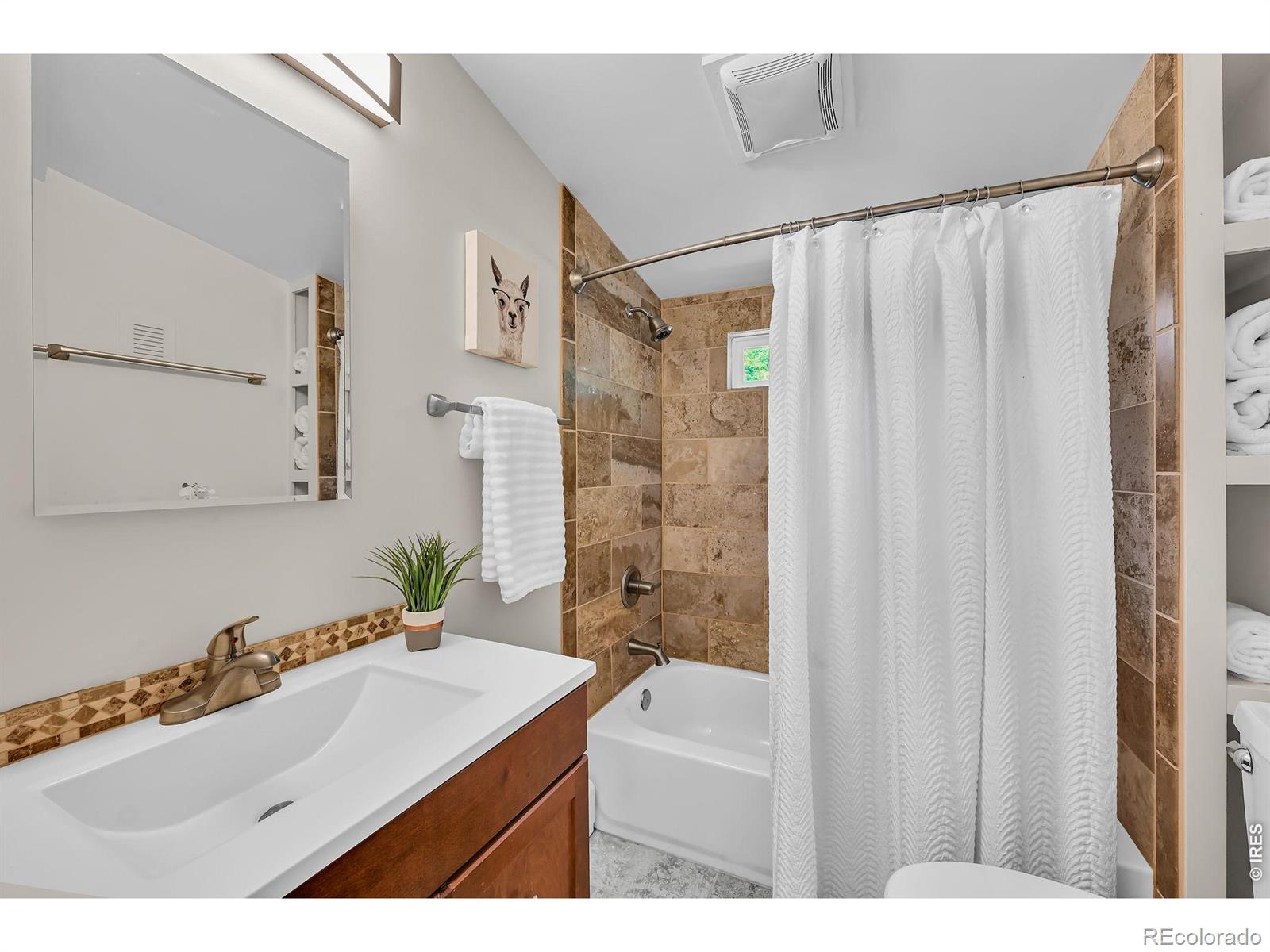 MLS Image #17 for 939  alta street,longmont, Colorado