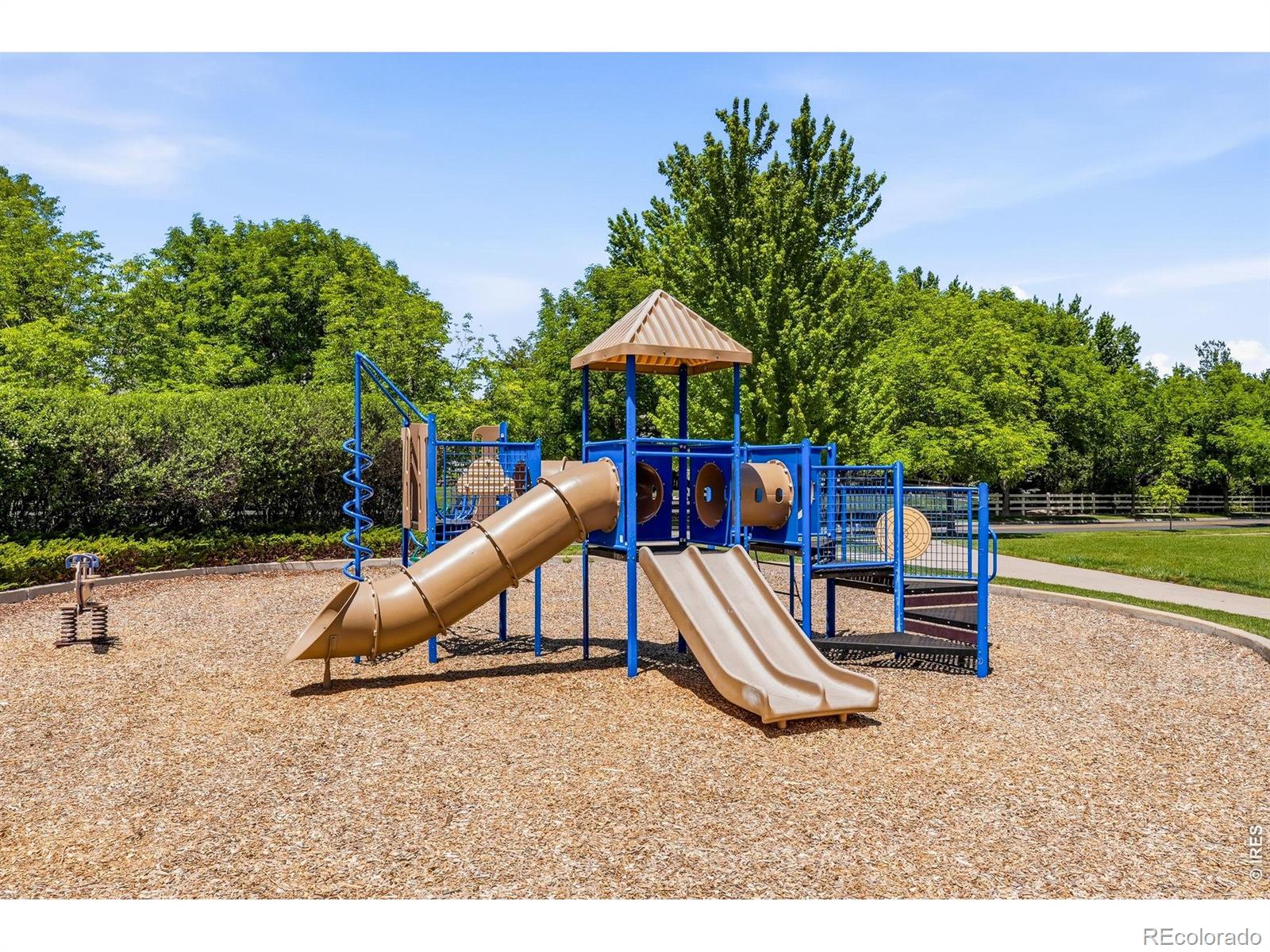MLS Image #44 for 3302  molly lane,broomfield, Colorado