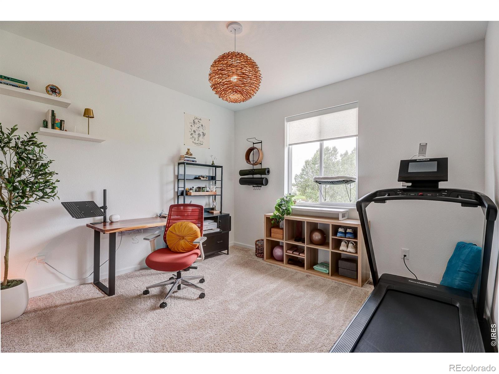 MLS Image #28 for 1639  dancing cattail drive,fort collins, Colorado