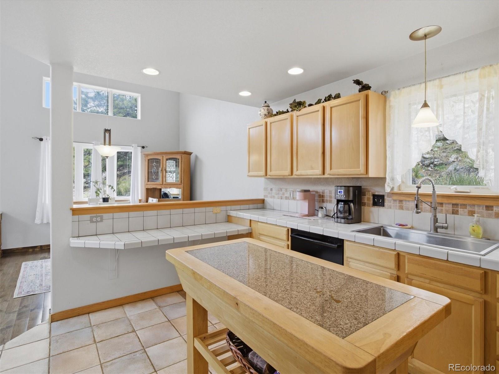 MLS Image #10 for 117  spruce trail,bailey, Colorado