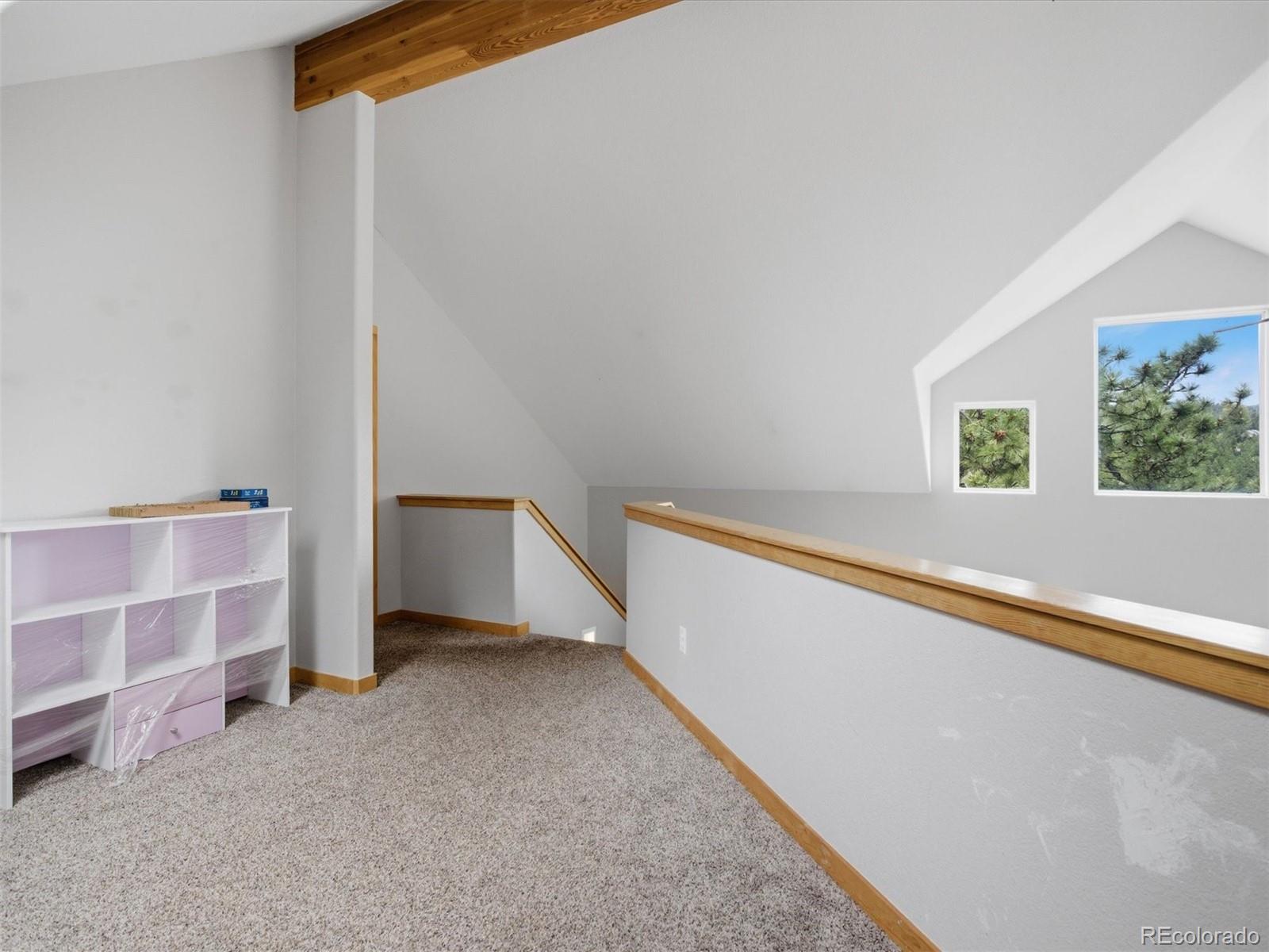 MLS Image #12 for 117  spruce trail,bailey, Colorado