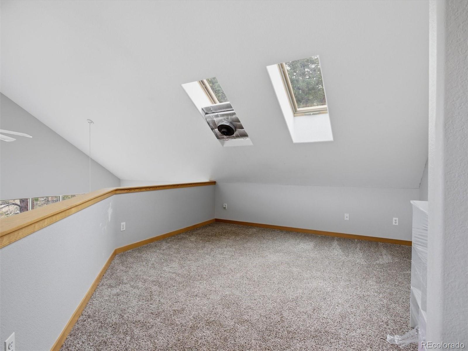 MLS Image #13 for 117  spruce trail,bailey, Colorado