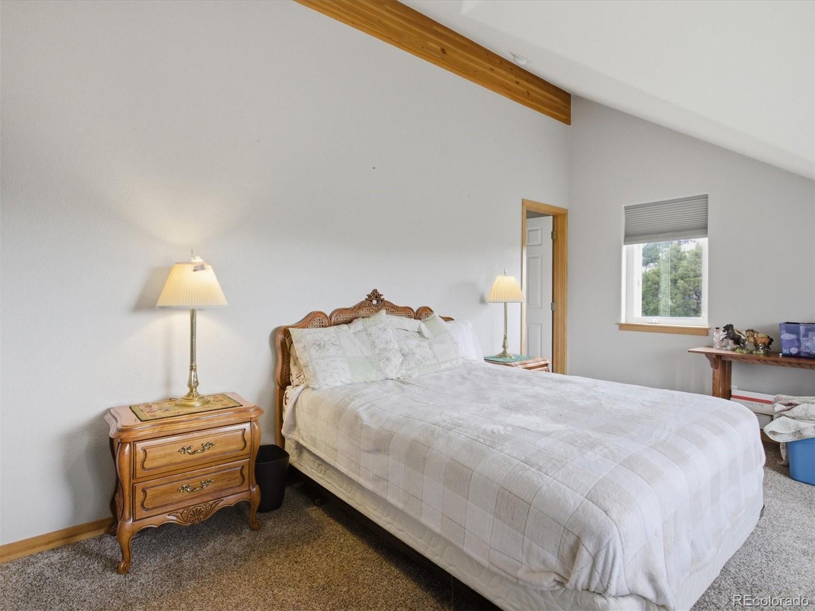 MLS Image #14 for 117  spruce trail,bailey, Colorado