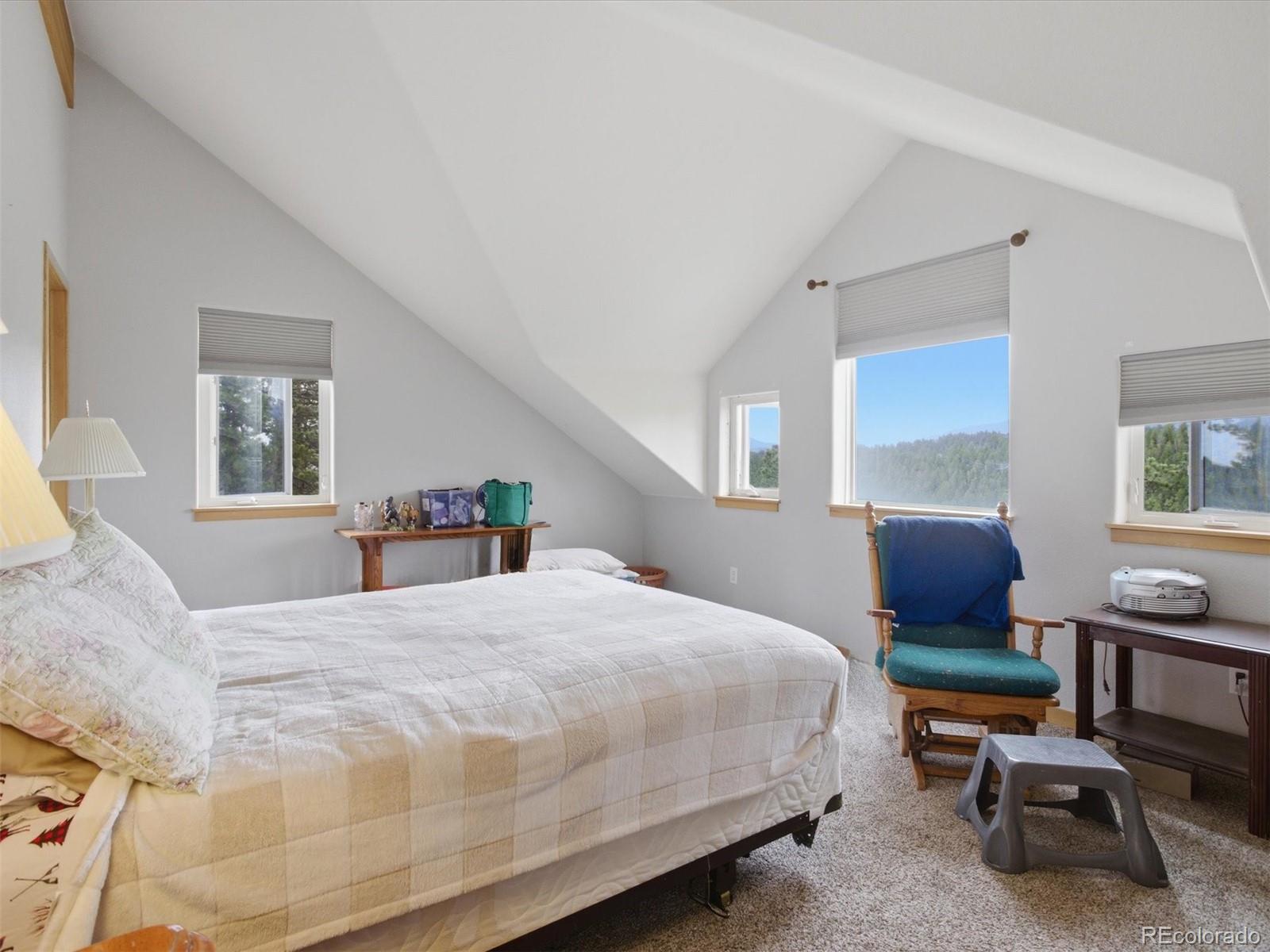 MLS Image #15 for 117  spruce trail,bailey, Colorado