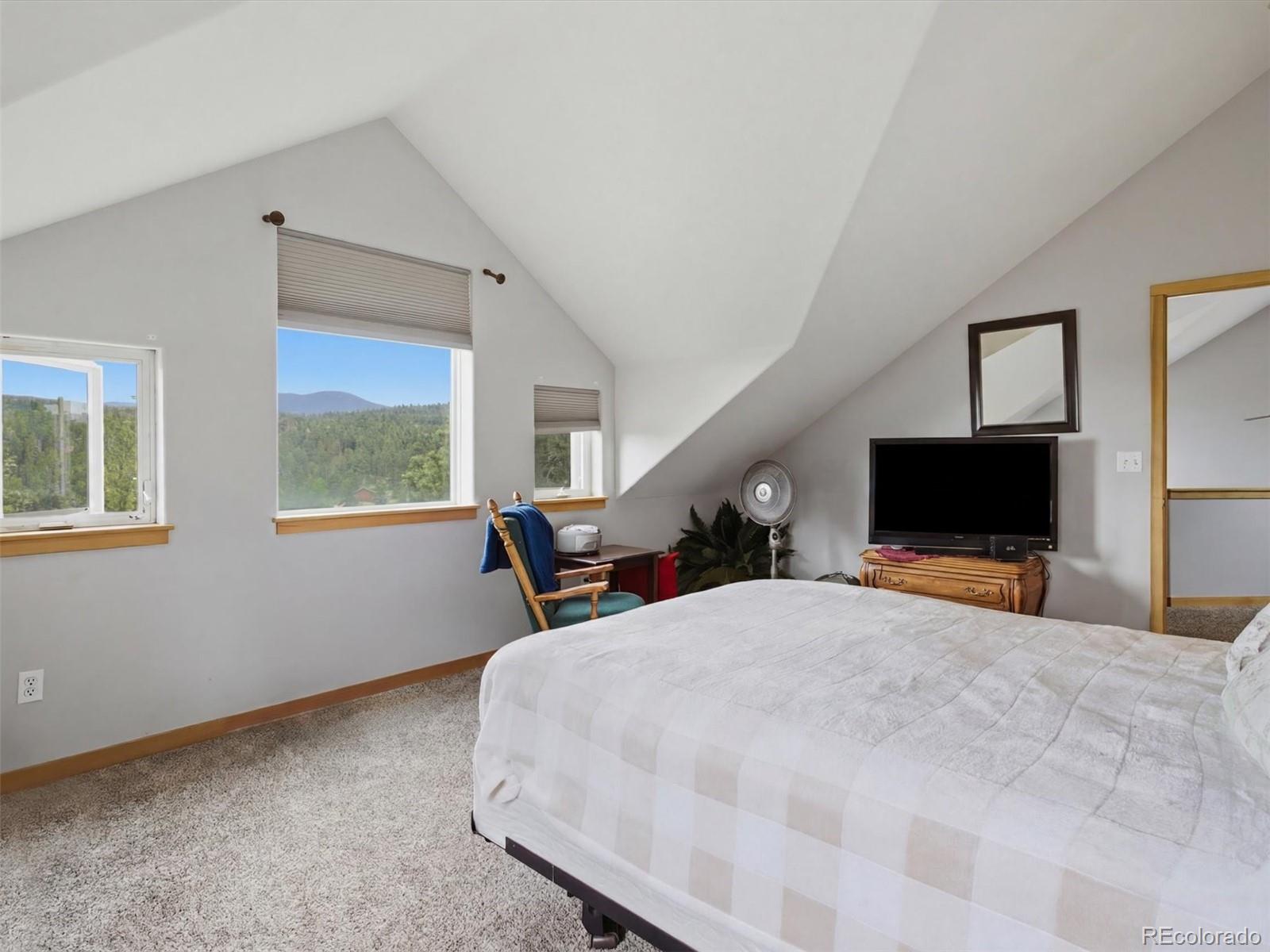 MLS Image #17 for 117  spruce trail,bailey, Colorado