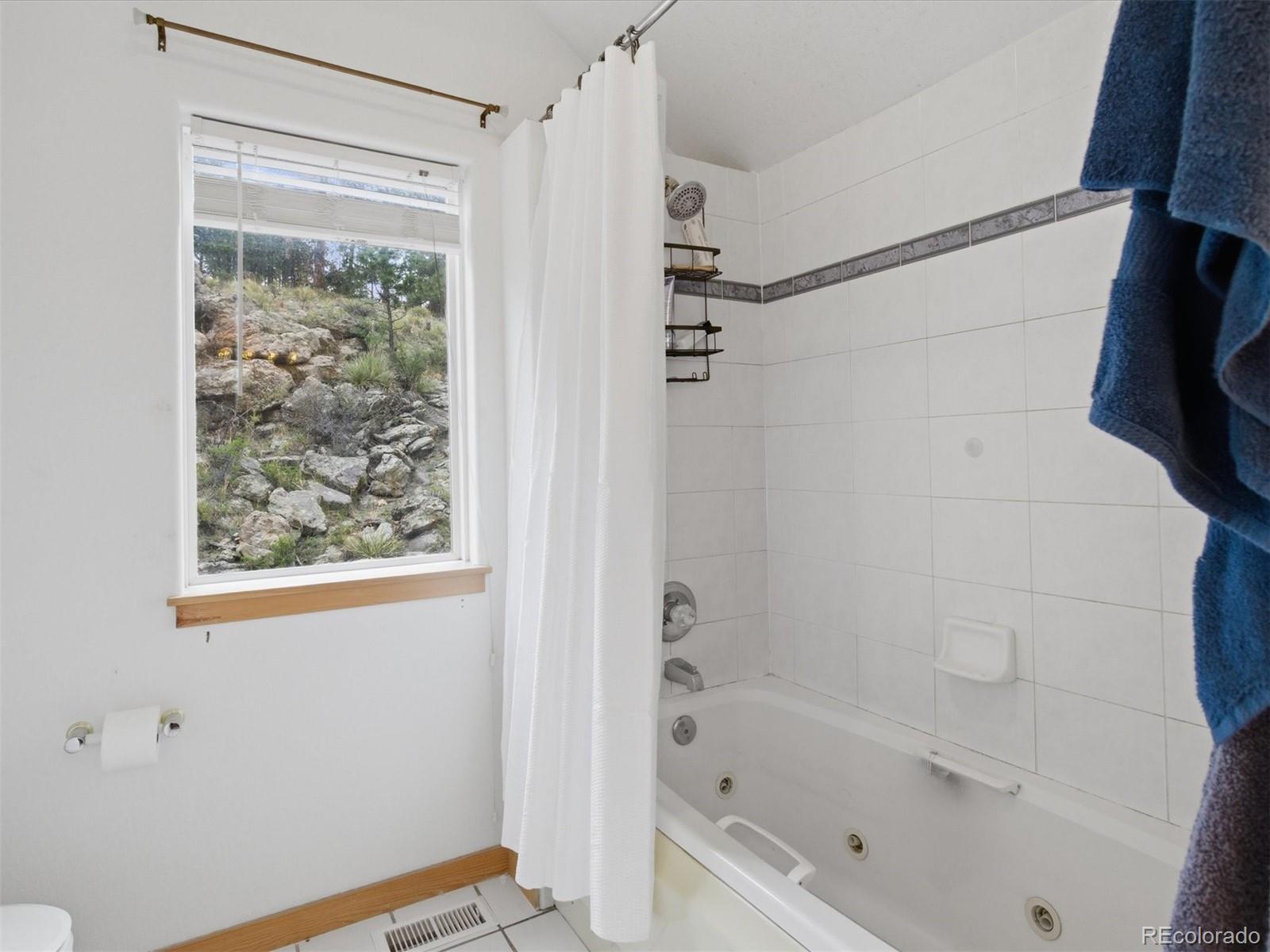 MLS Image #19 for 117  spruce trail,bailey, Colorado