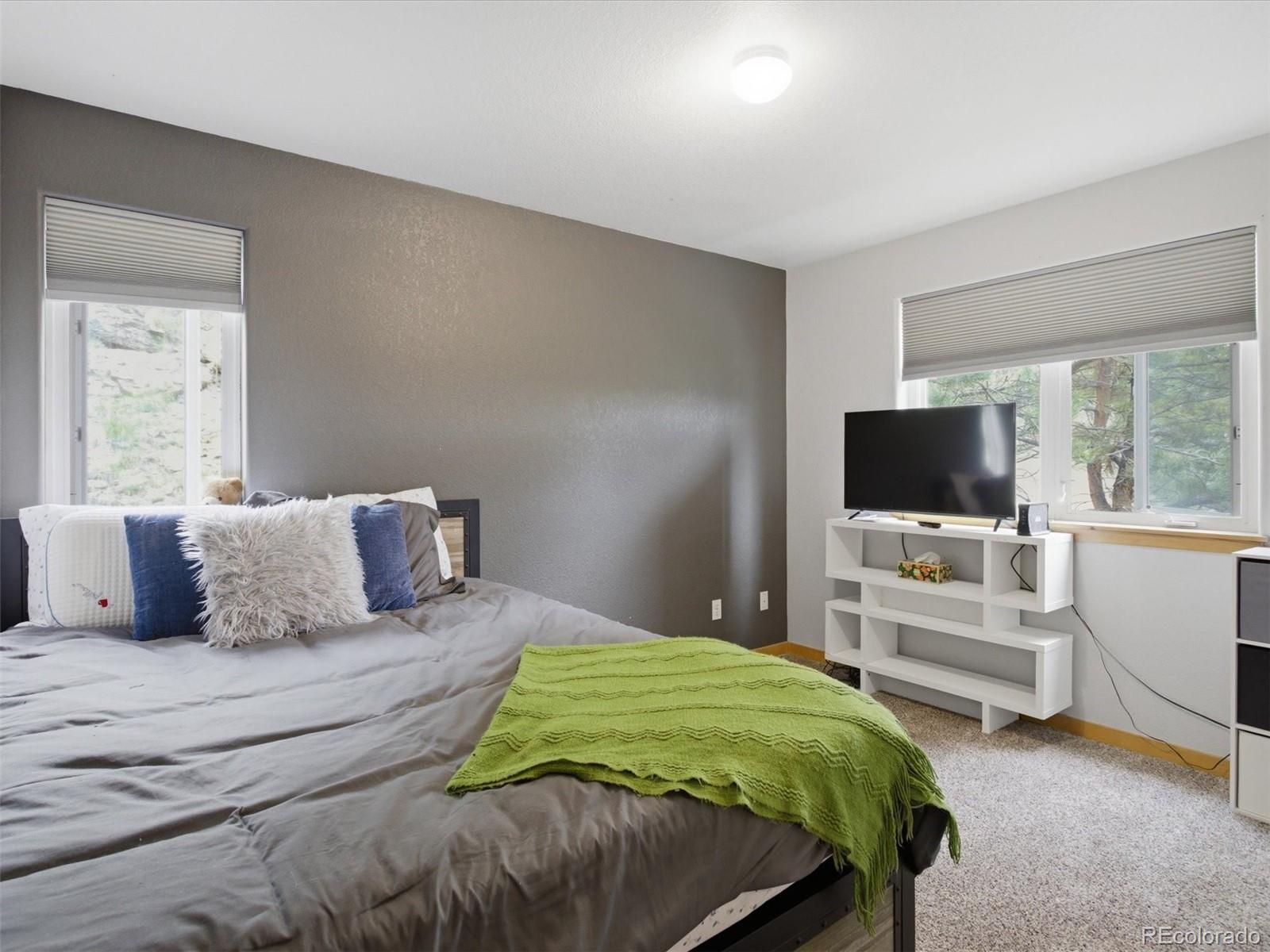 MLS Image #21 for 117  spruce trail,bailey, Colorado