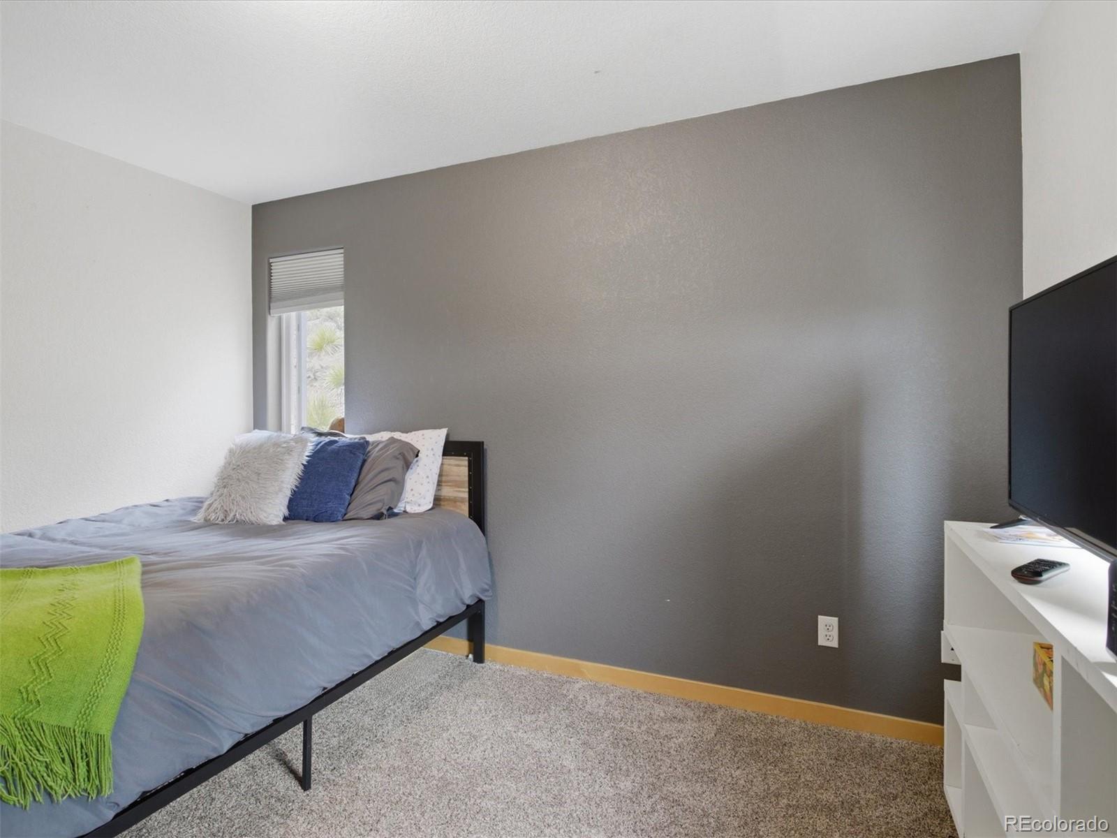 MLS Image #22 for 117  spruce trail,bailey, Colorado