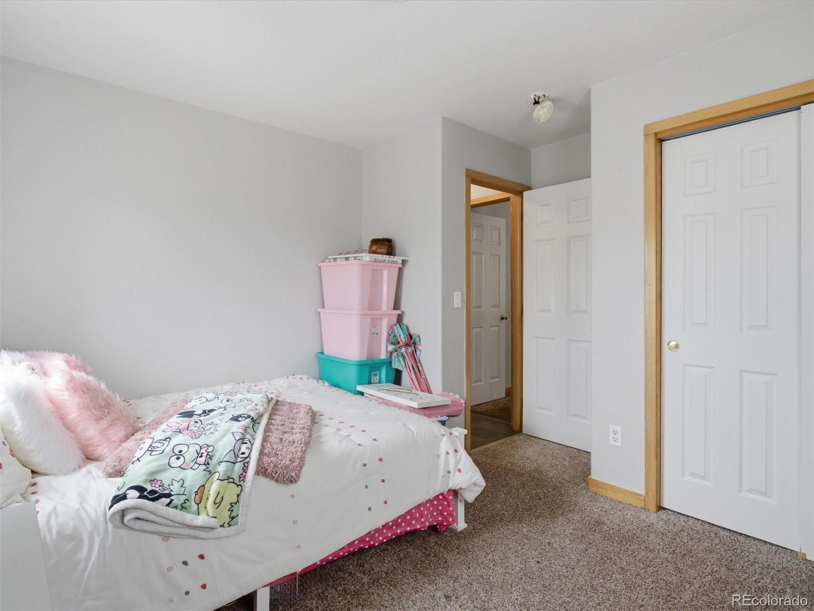 MLS Image #25 for 117  spruce trail,bailey, Colorado
