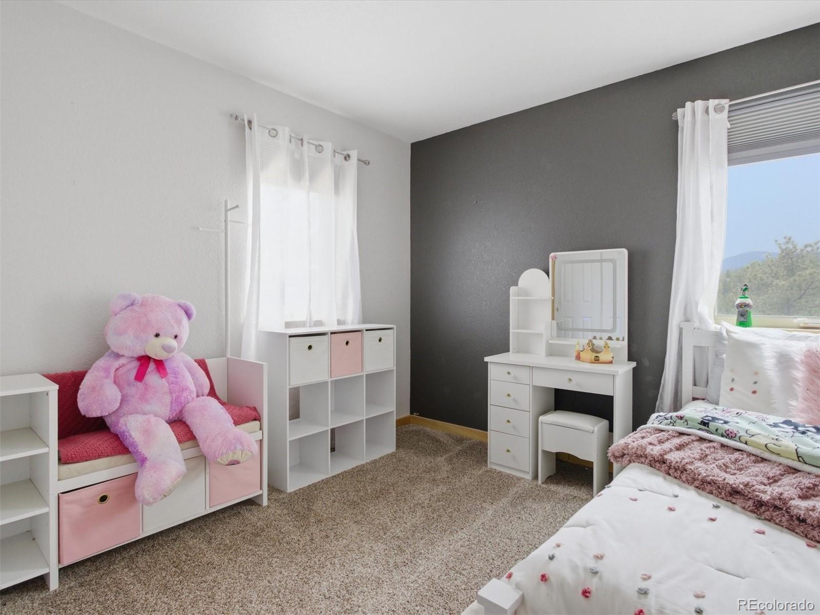 MLS Image #26 for 117  spruce trail,bailey, Colorado