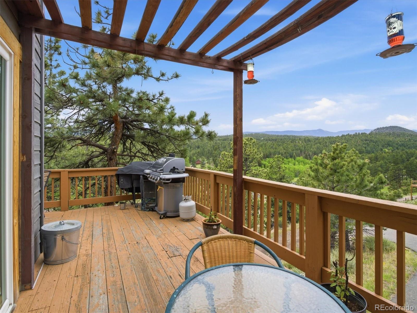 MLS Image #30 for 117  spruce trail,bailey, Colorado