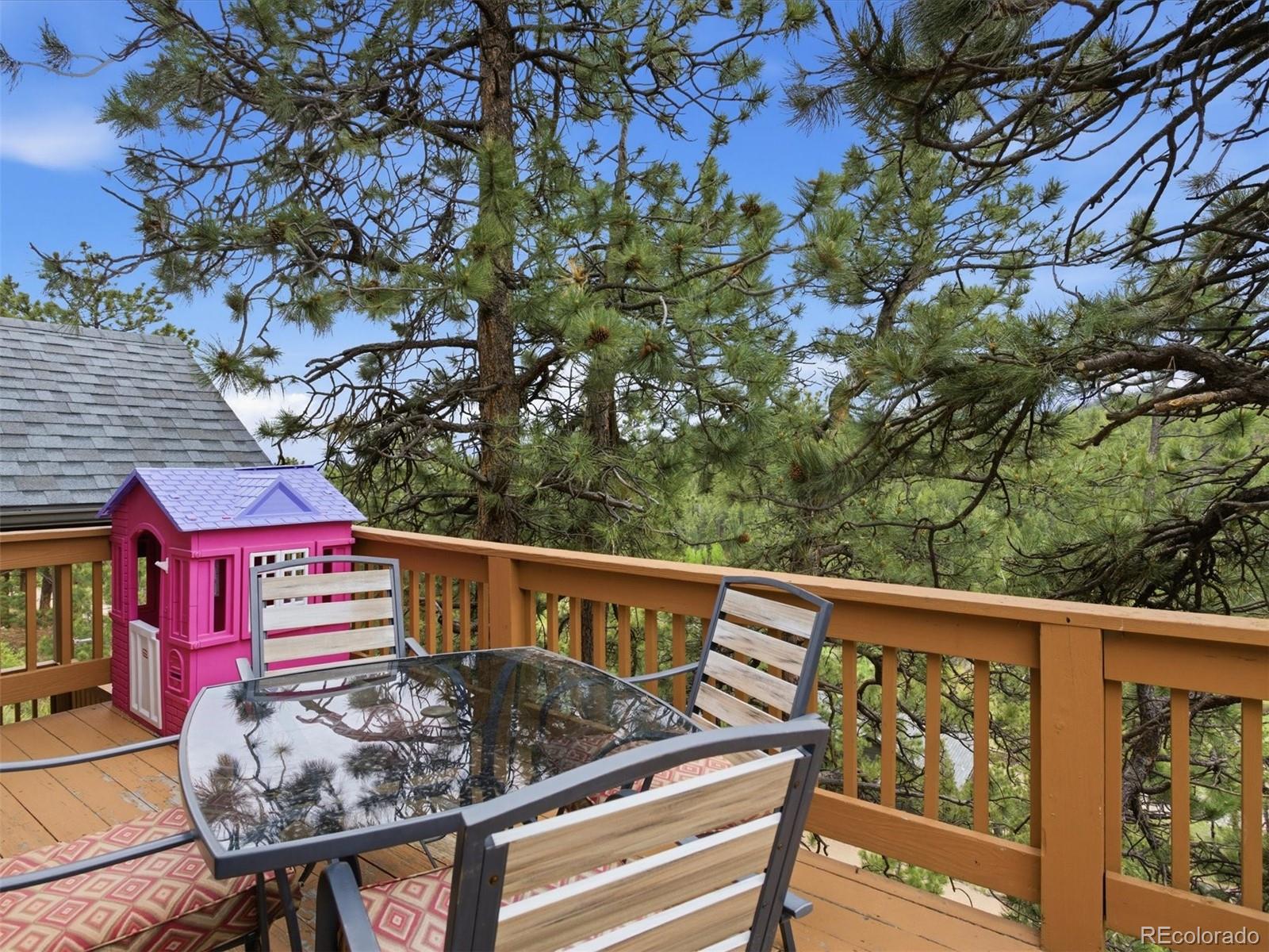 MLS Image #31 for 117  spruce trail,bailey, Colorado