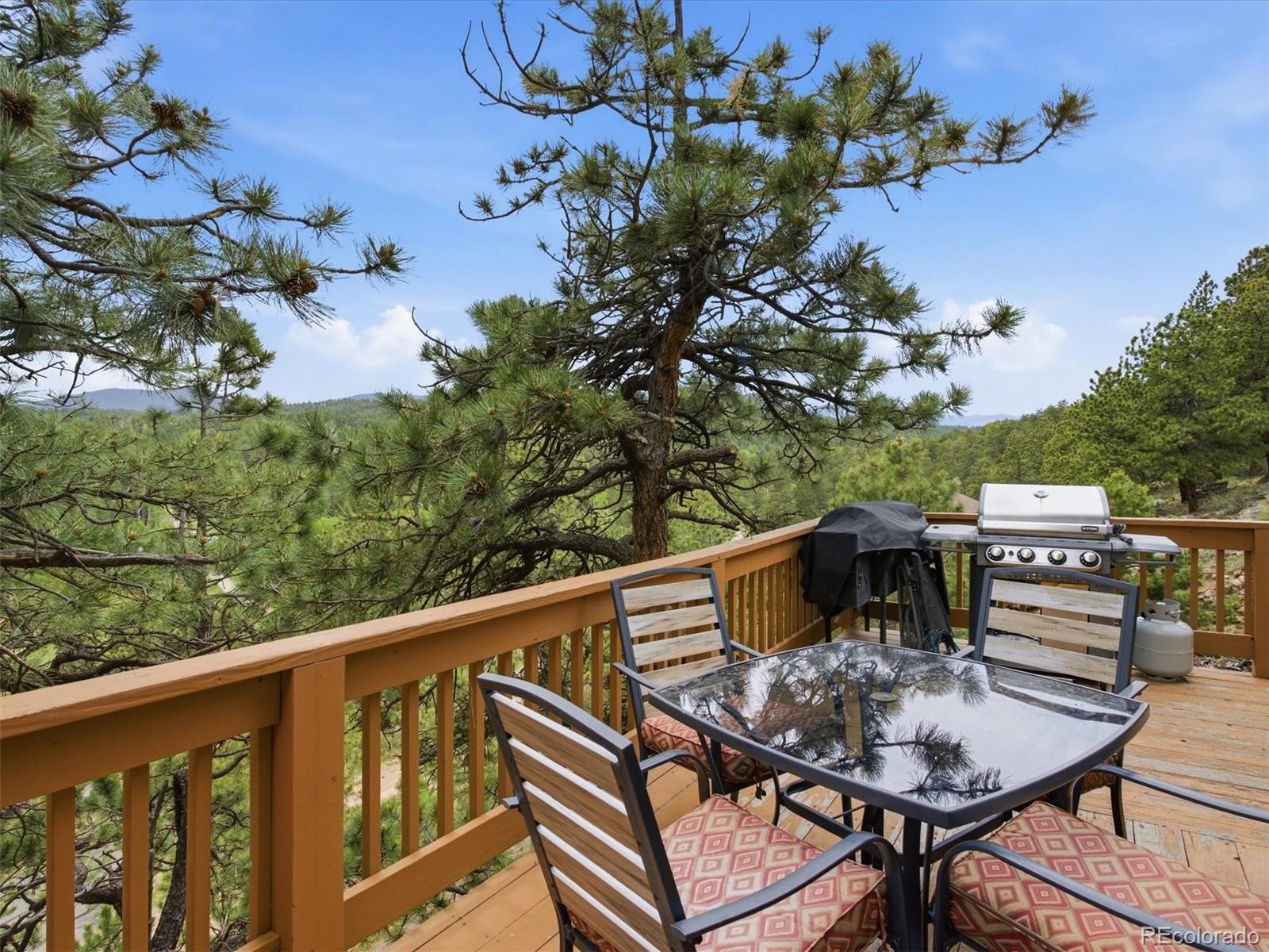 MLS Image #32 for 117  spruce trail,bailey, Colorado