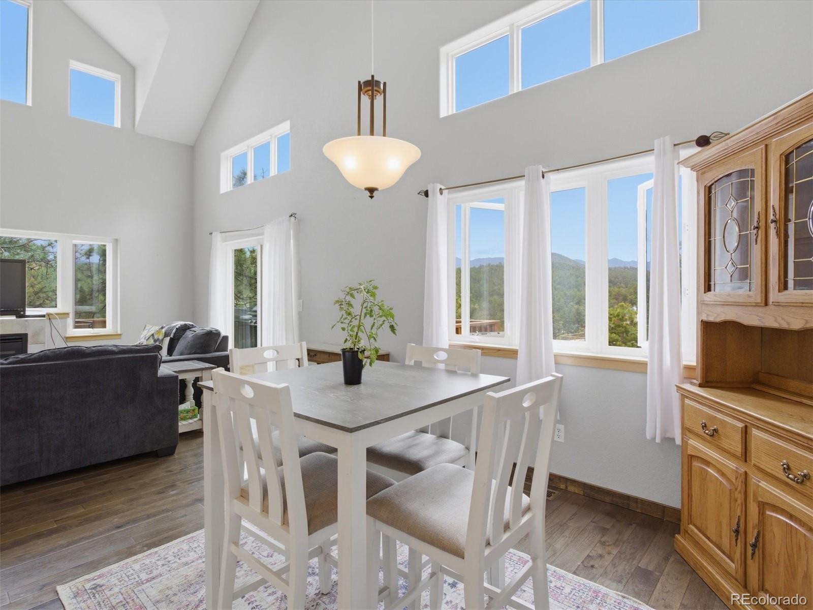 MLS Image #6 for 117  spruce trail,bailey, Colorado