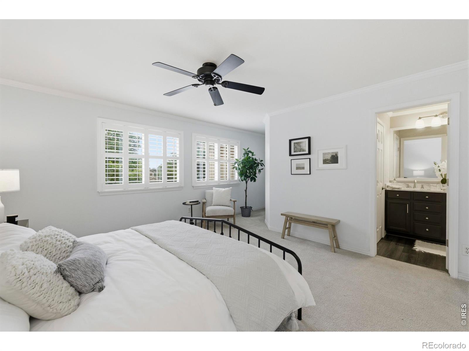 MLS Image #12 for 4603  dusty sage court,fort collins, Colorado