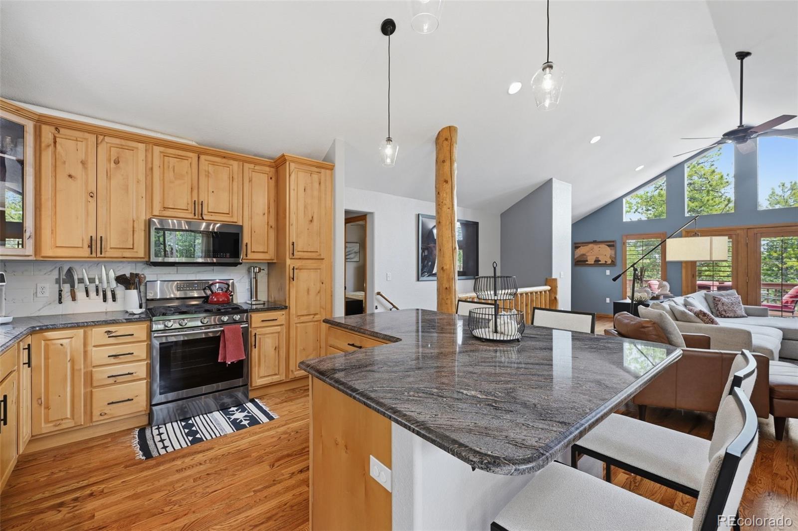 MLS Image #14 for 9299  black mountain drive,conifer, Colorado