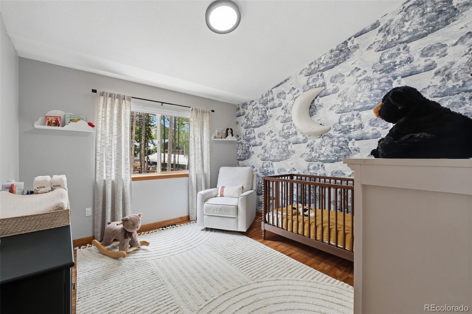 MLS Image #18 for 9299  black mountain drive,conifer, Colorado