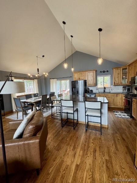 MLS Image #3 for 9299  black mountain drive,conifer, Colorado