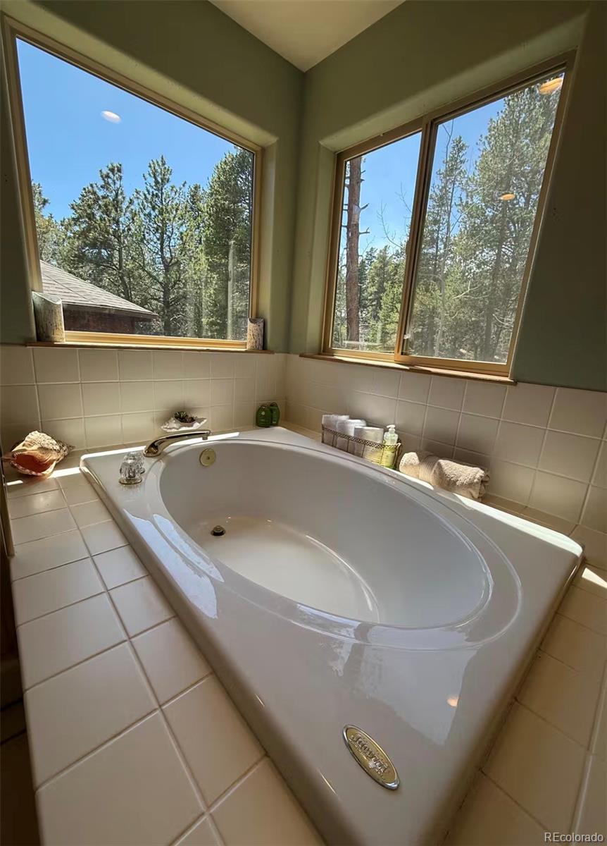 MLS Image #20 for 1211  hughesville road,black hawk, Colorado