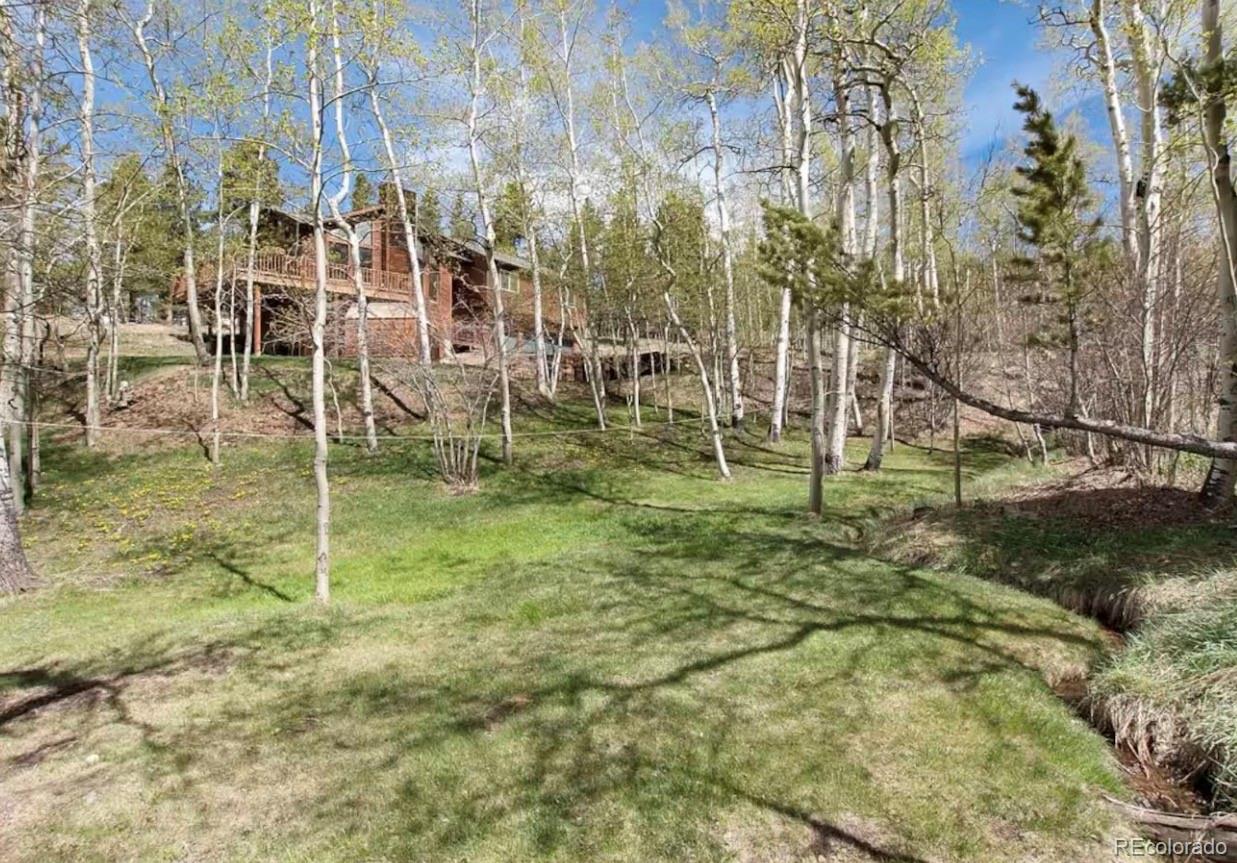 MLS Image #26 for 1211  hughesville road,black hawk, Colorado