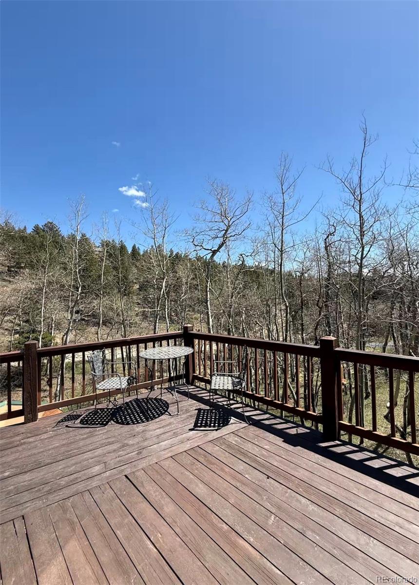 MLS Image #27 for 1211  hughesville road,black hawk, Colorado