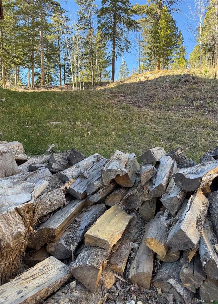 MLS Image #28 for 1211  hughesville road,black hawk, Colorado