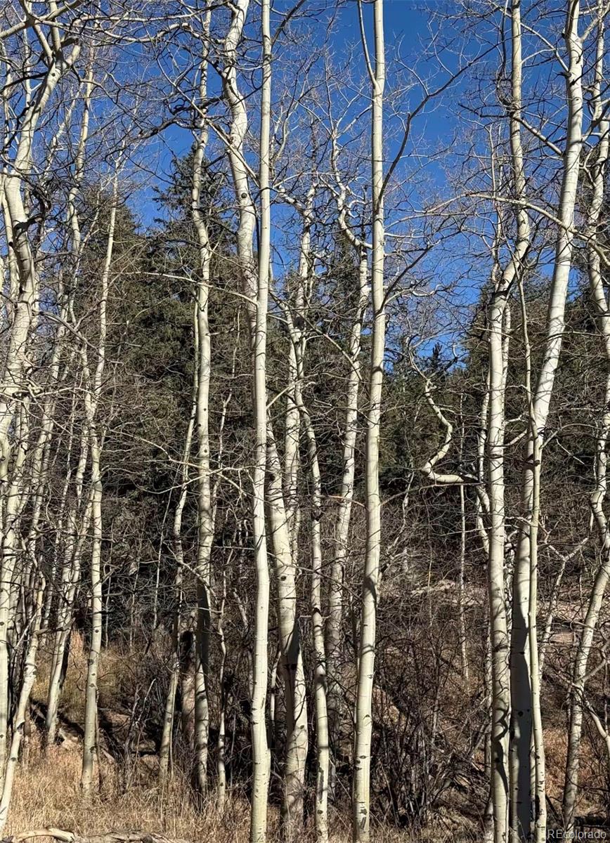 MLS Image #34 for 1211  hughesville road,black hawk, Colorado