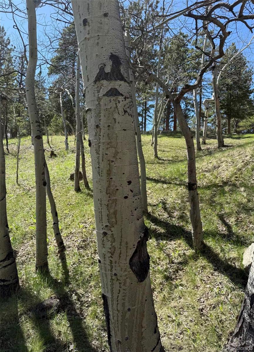 MLS Image #37 for 1211  hughesville road,black hawk, Colorado
