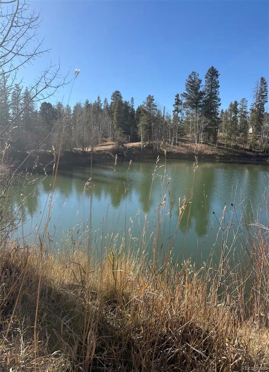 MLS Image #42 for 1211  hughesville road,black hawk, Colorado