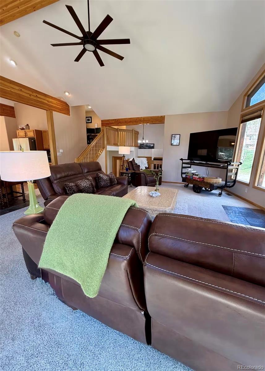 MLS Image #6 for 1211  hughesville road,black hawk, Colorado