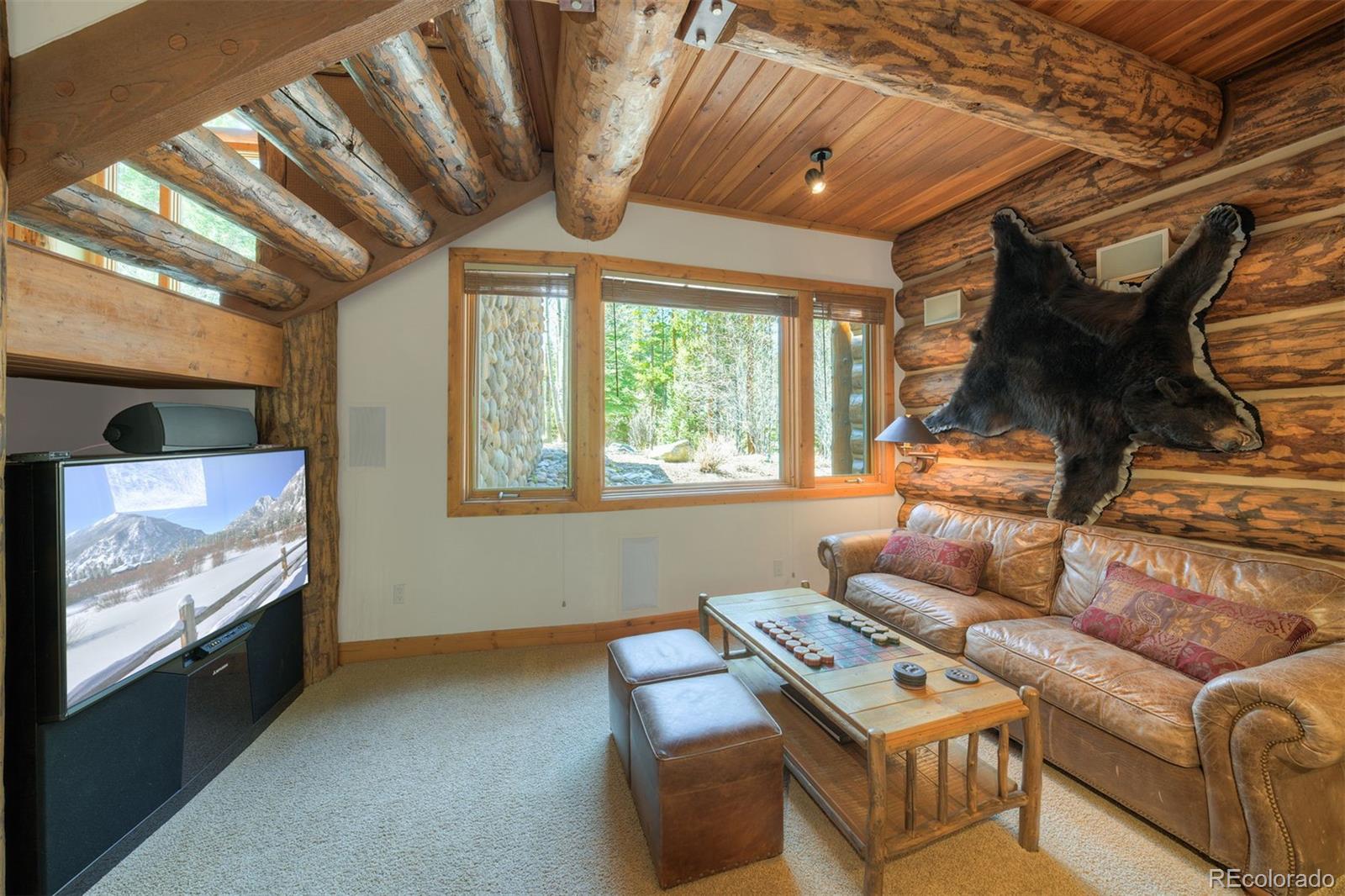 MLS Image #30 for 263  tarnwood drive,breckenridge, Colorado