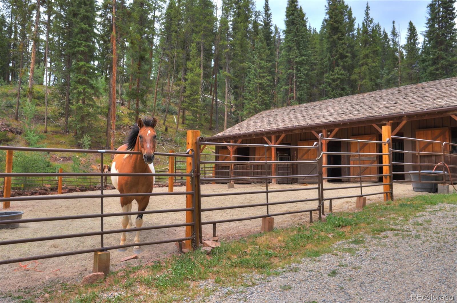 MLS Image #47 for 263  tarnwood drive,breckenridge, Colorado