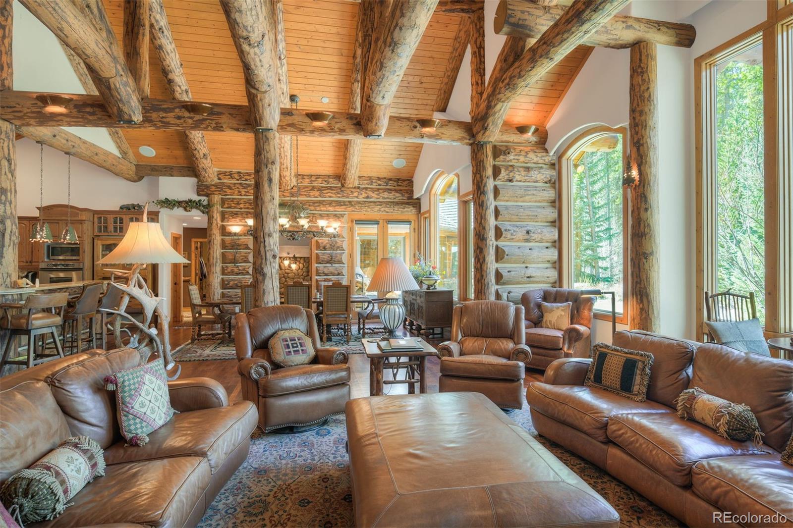 MLS Image #5 for 263  tarnwood drive,breckenridge, Colorado
