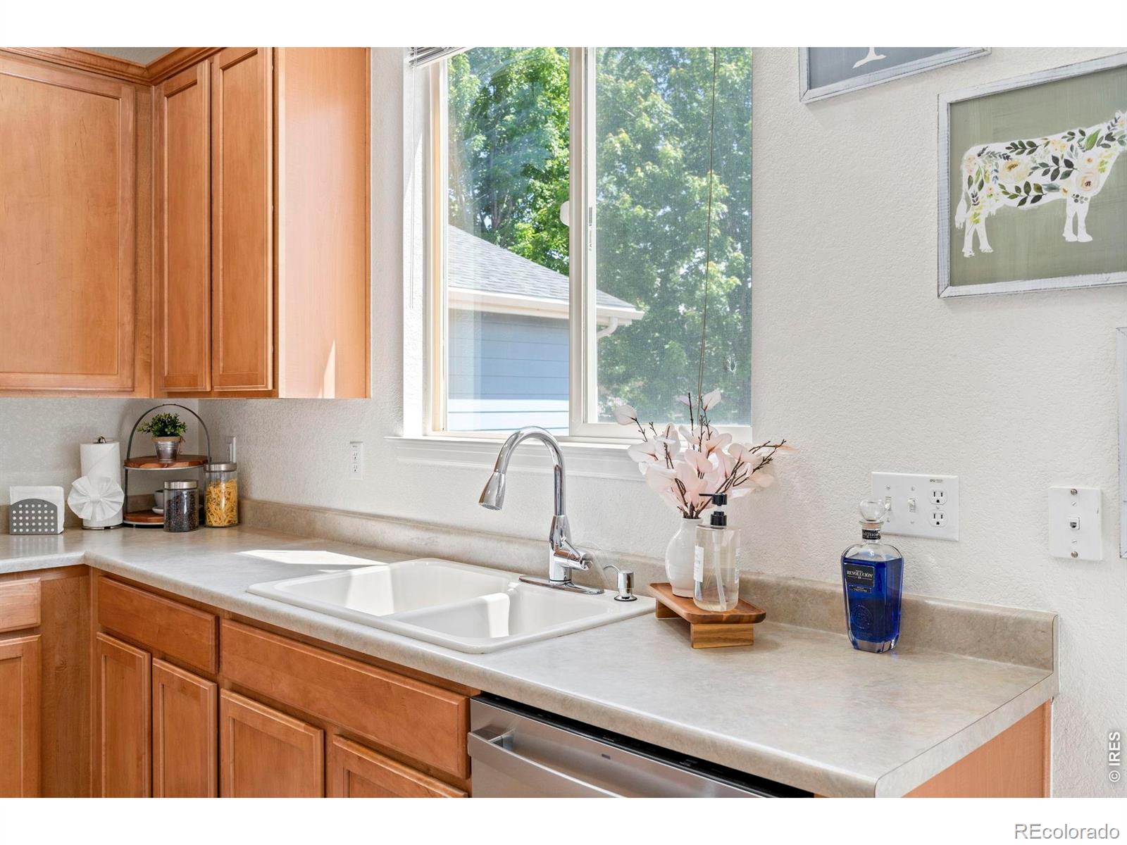 MLS Image #16 for 461  bonanza drive,erie, Colorado