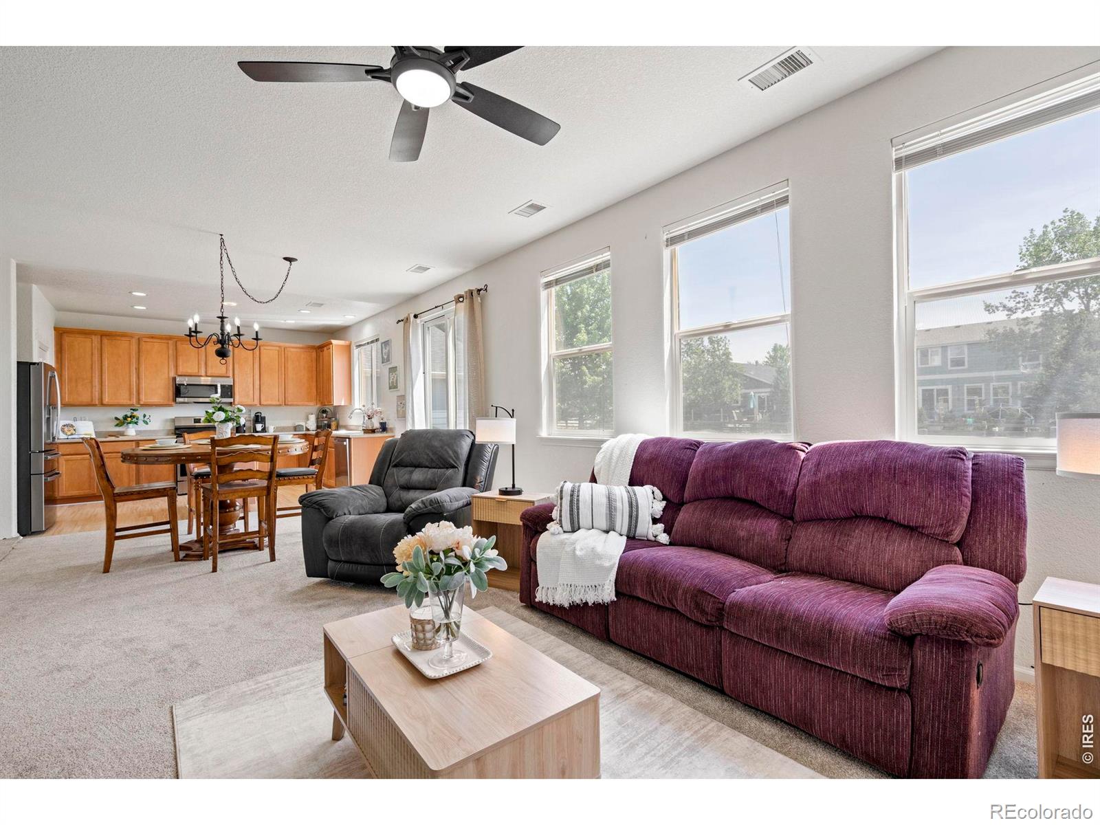 MLS Image #7 for 461  bonanza drive,erie, Colorado