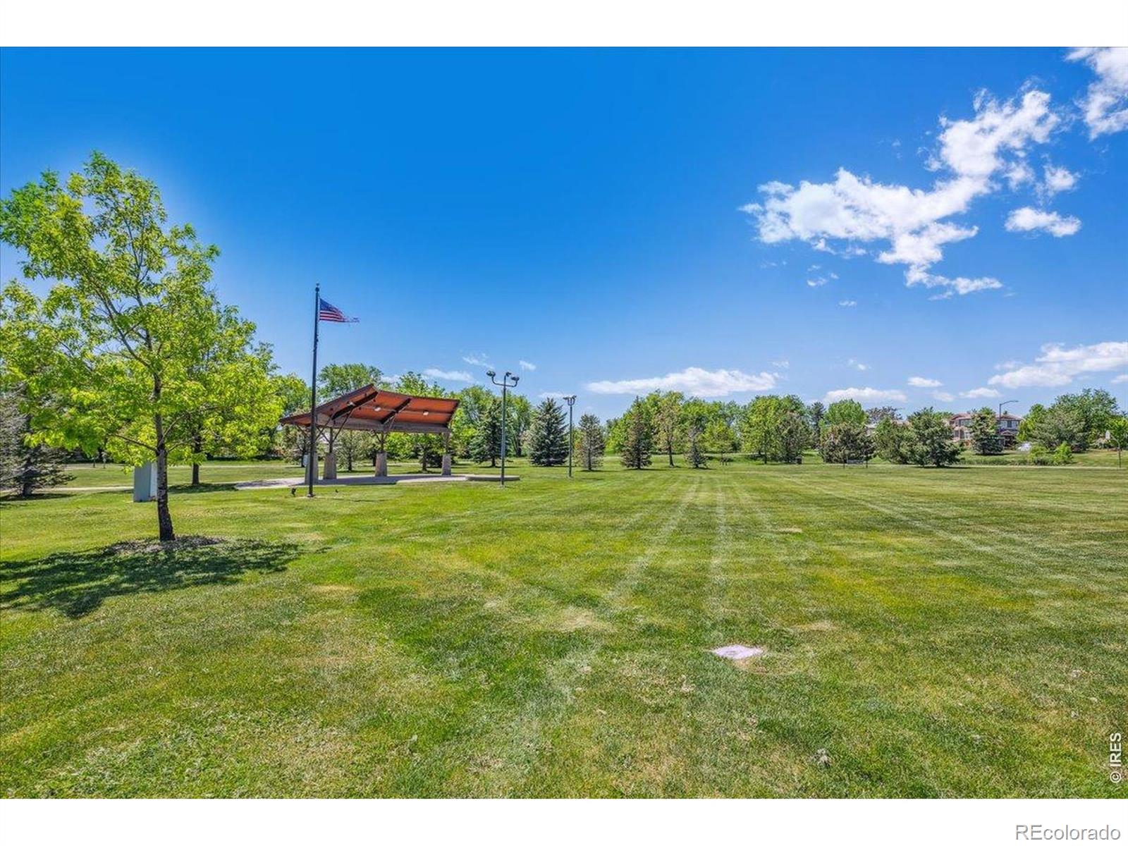 MLS Image #31 for 111  rose street,louisville, Colorado