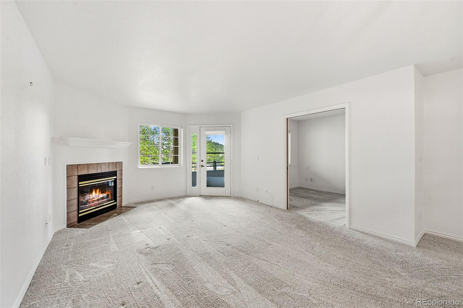 MLS Image #10 for 31819  rocky village drive,evergreen, Colorado