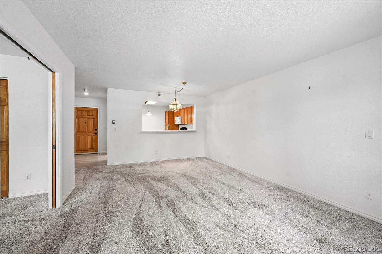 MLS Image #11 for 31819  rocky village drive,evergreen, Colorado
